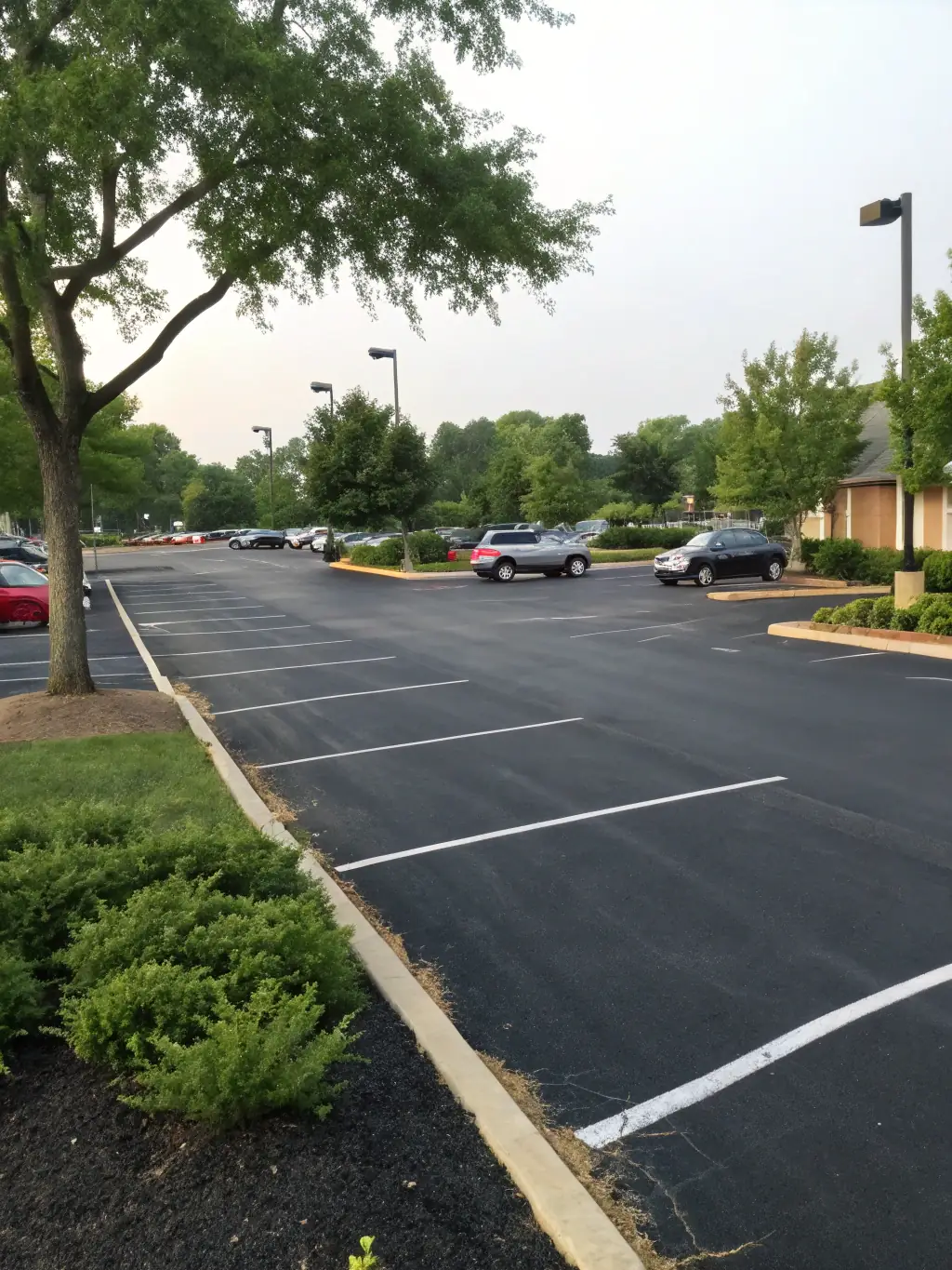 A wide shot of a freshly seal-coated parking lot, showcasing the smooth, black surface and clear parking lines, highlighting the protective and aesthetic benefits of seal coating.